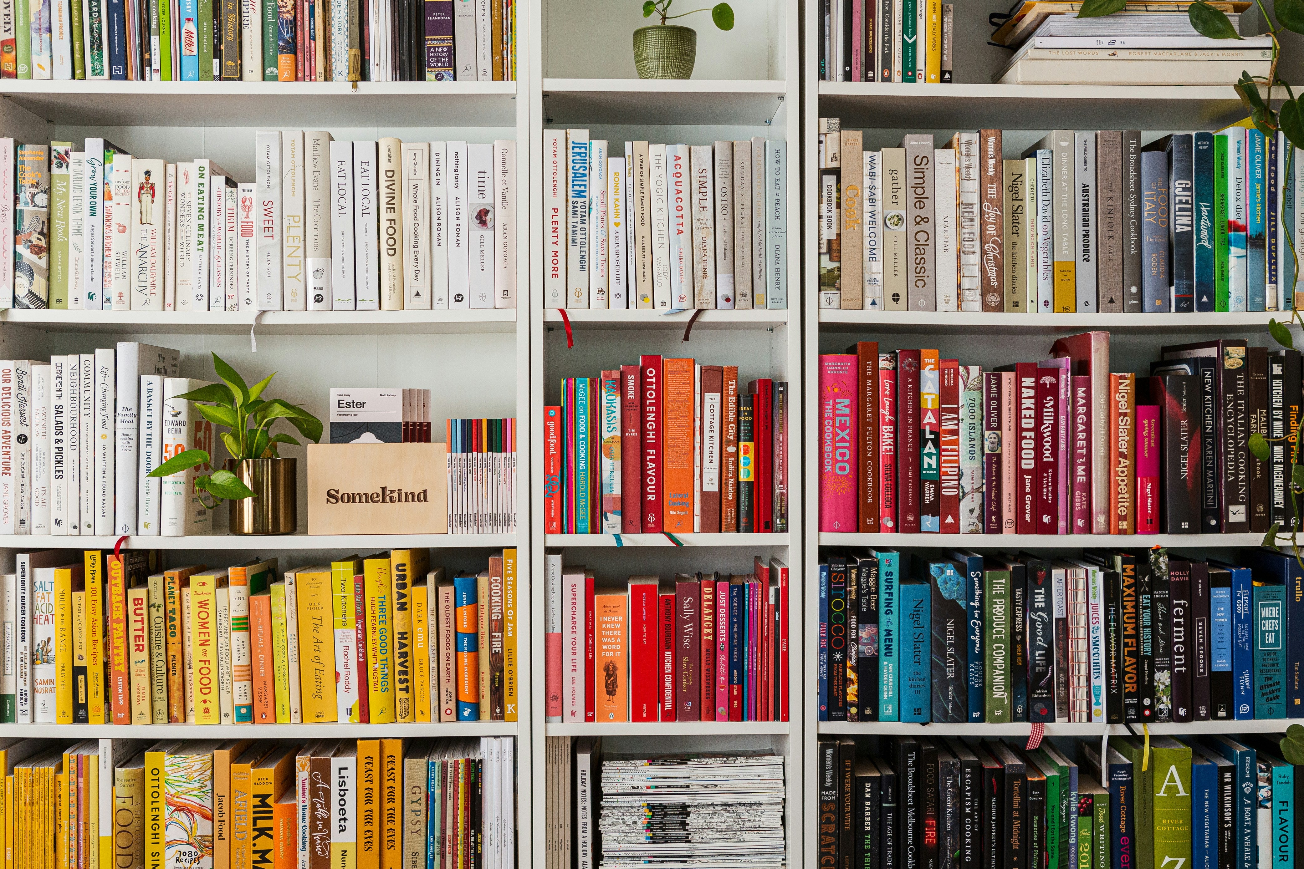 Raumwunder Bücherregal: Wie man kleine Räume optimal nutzt