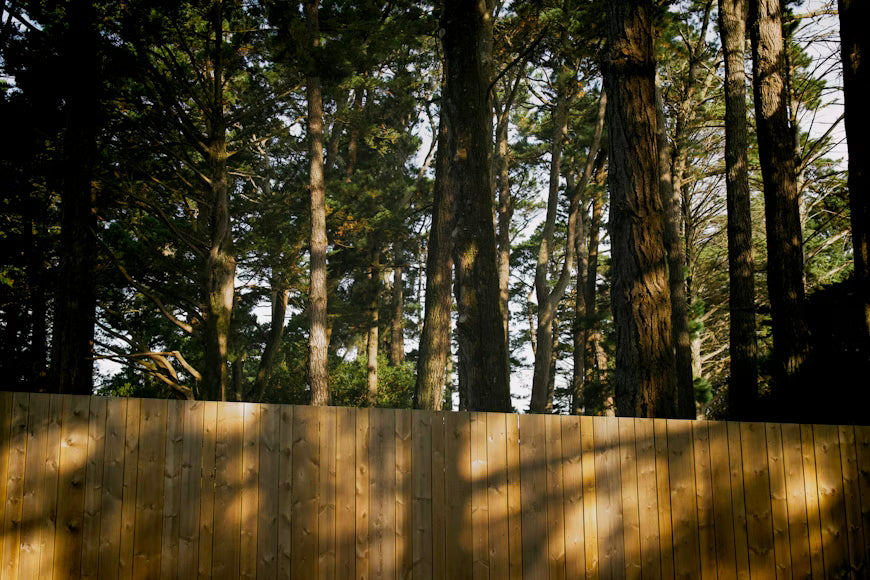 Sichtschutz im Garten: Was man beim Zaun beachten muss